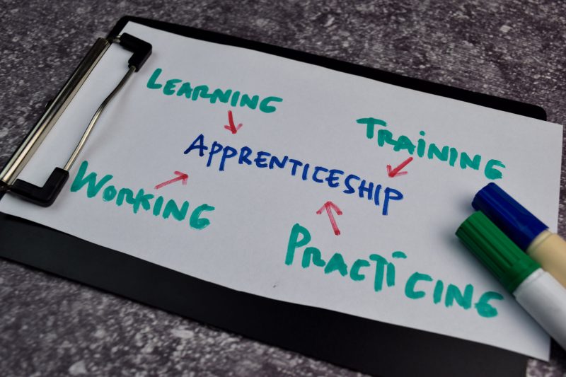 Social Care Apprentice plan